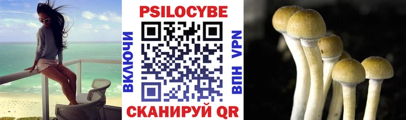 Галлюциногенные грибы прущие грибы  где можно купить   Сосновка 