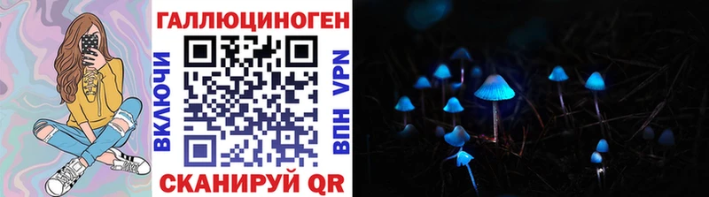 Псилоцибиновые грибы Psilocybe Сосновка