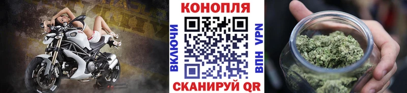 где найти   Сосновка  Марихуана THC 21% 